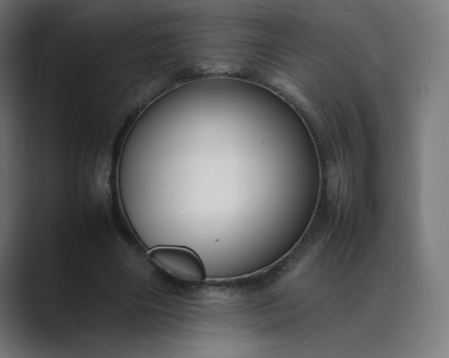 X0000089350490200706291024