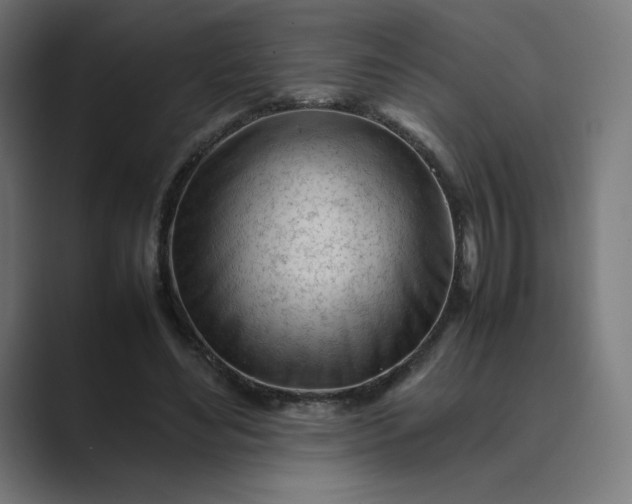X0000089350492200706291024