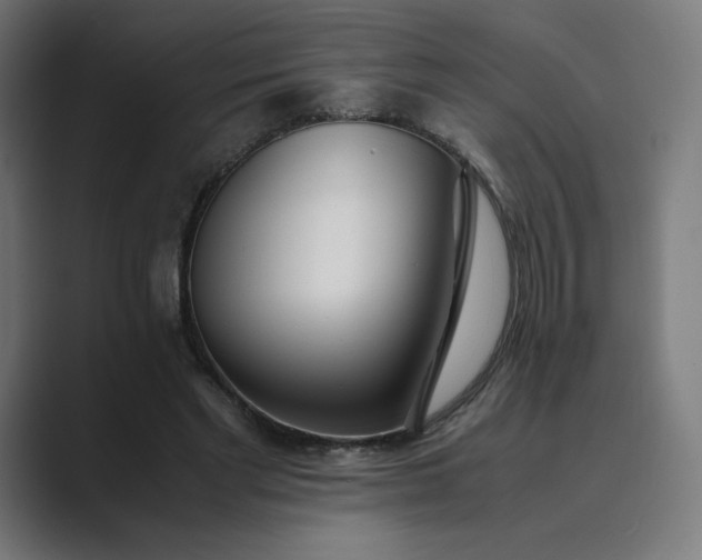 X0000089350493200706291024