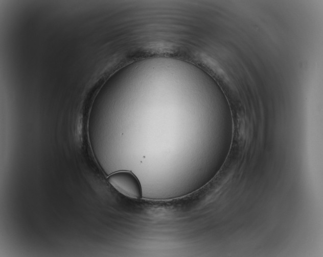 X0000089350494200706291024