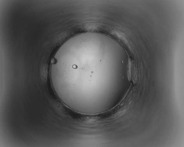 X0000089350495200706291024