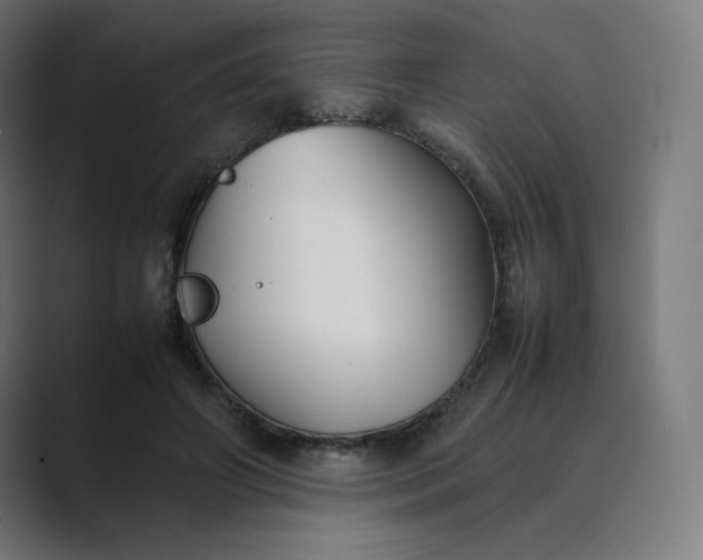 X0000089350498200706291024