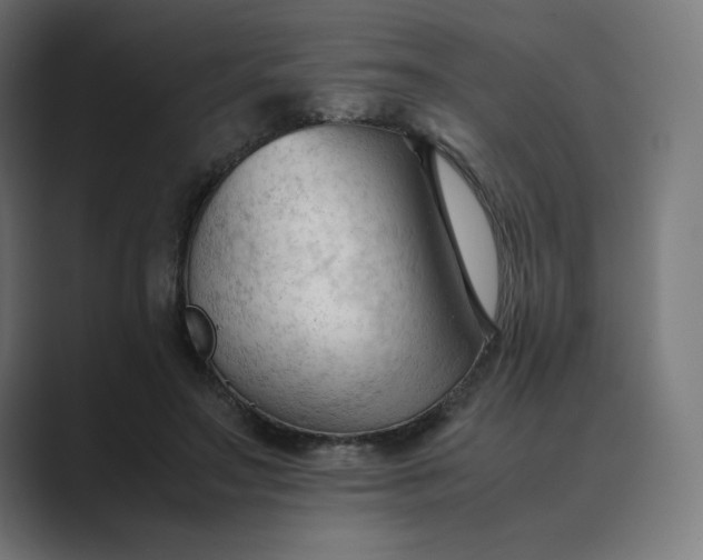 X0000089350499200706291024