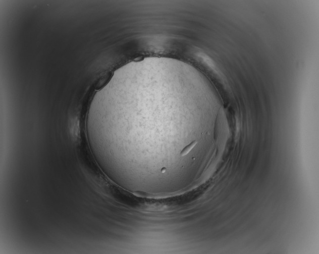 X0000089350500200706291024