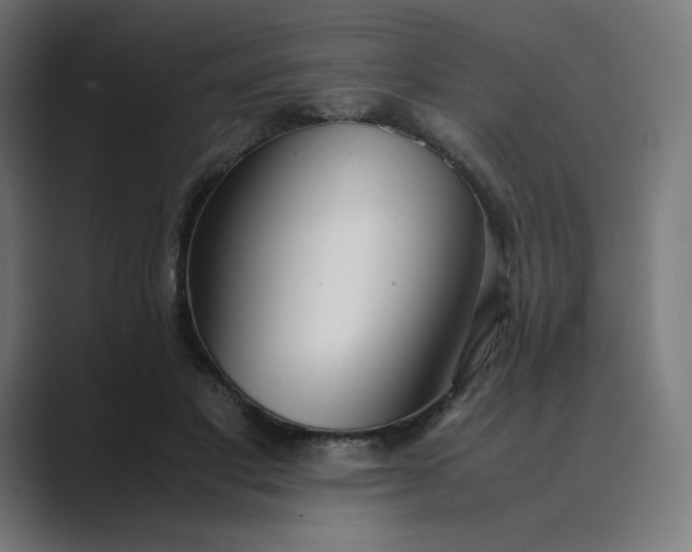 X0000089350501200706291024