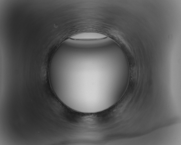 X0000089350505200706291024
