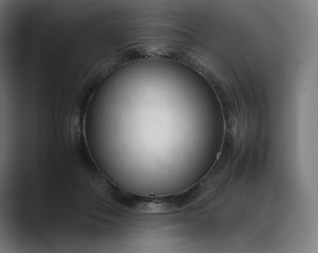 X0000089350506200706291024