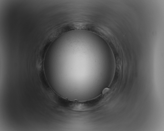 X0000089350507200706291024