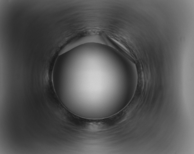 X0000089350508200706291024