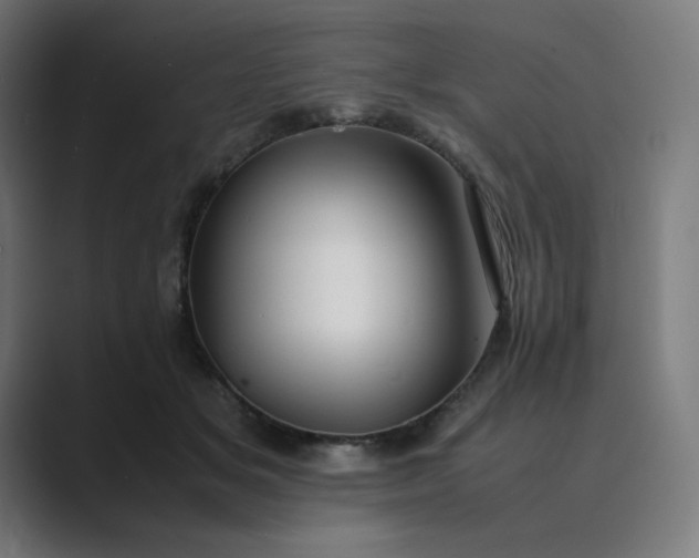 X0000089350509200706291024