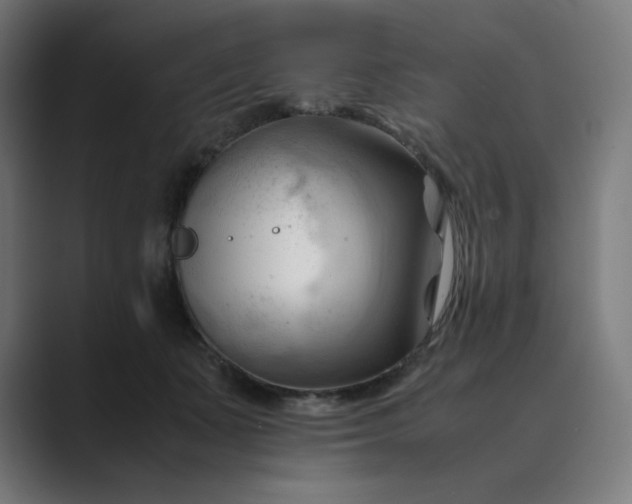 X0000089350511200706291024