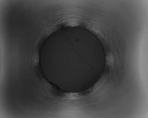 X0000089350517200706291024