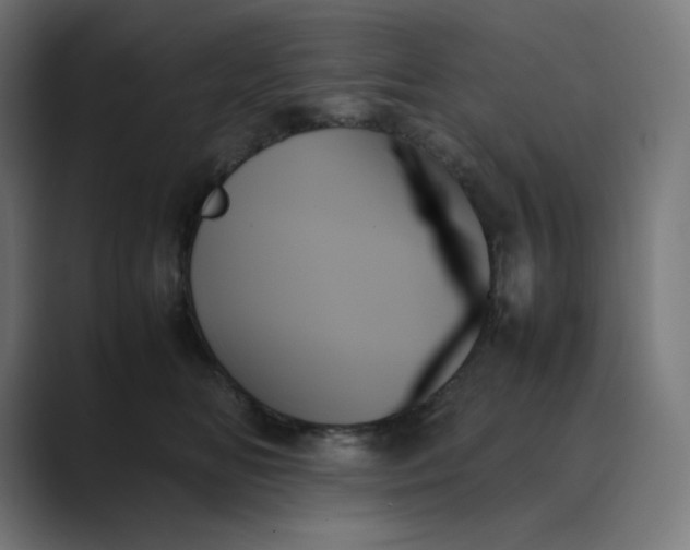 X0000089350518200706291024