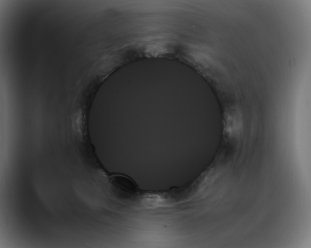 X0000089350519200706291024