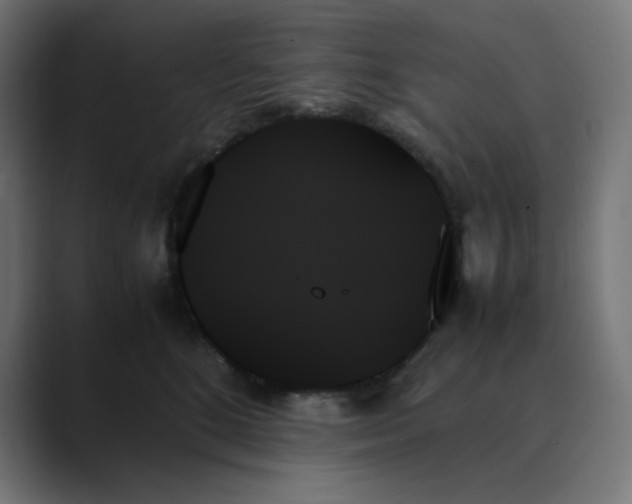 X0000089350520200706291024