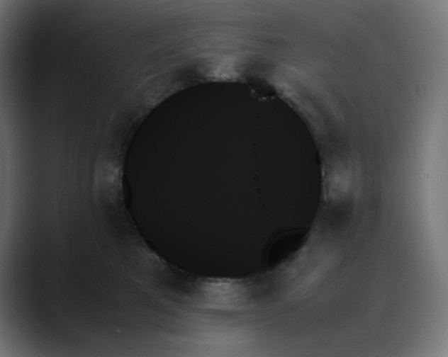 X0000089350521200706291024