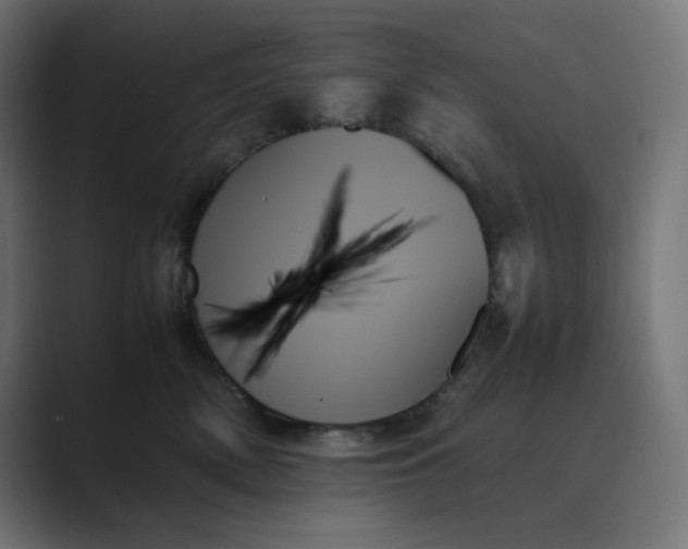 X0000089350522200706291024