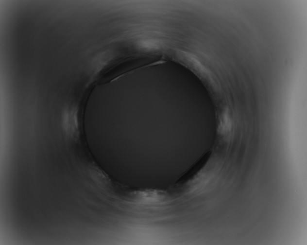 X0000089350524200706291024