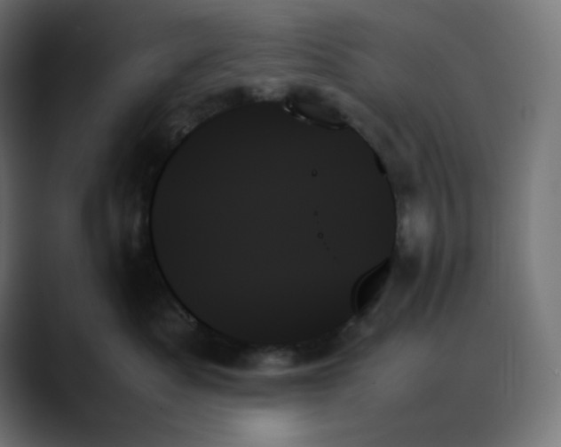 X0000089350525200706291024