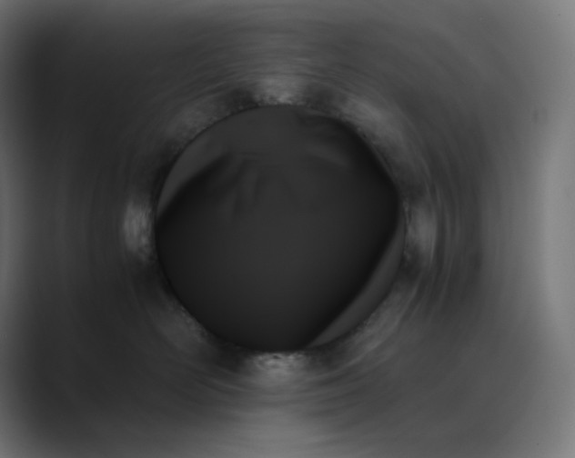 X0000089350526200706291024