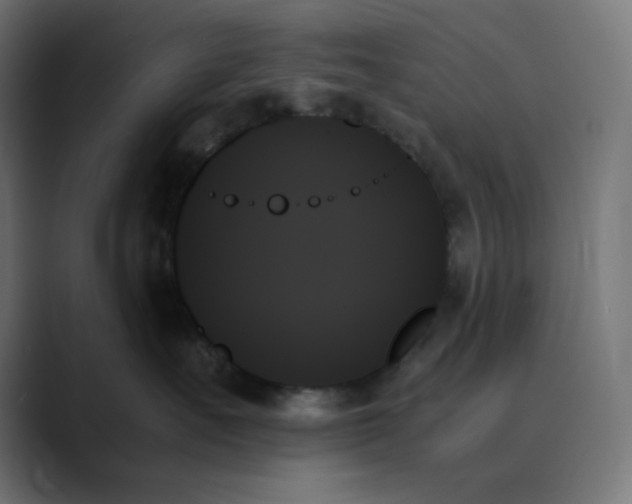 X0000089350527200706291024
