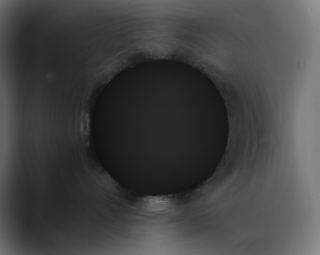 X0000089350528200706291024