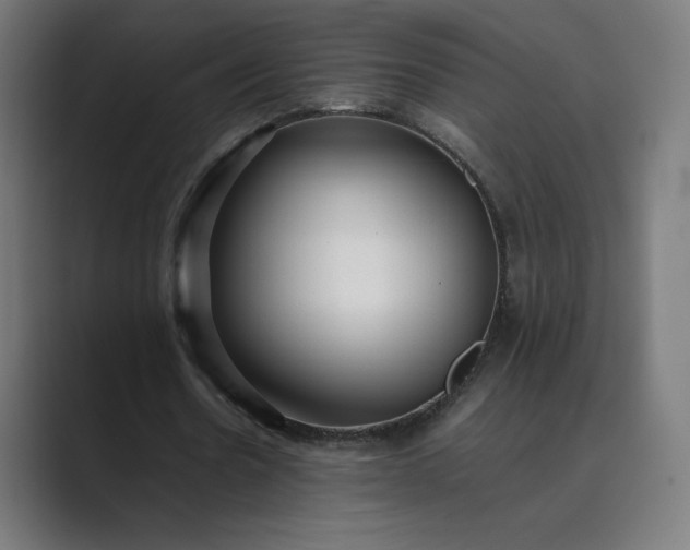 X0000089350530200706291023