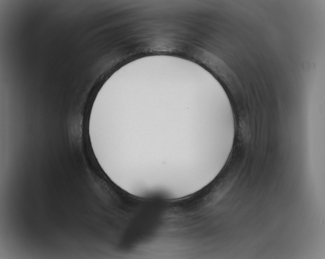 X0000089350534200706291023