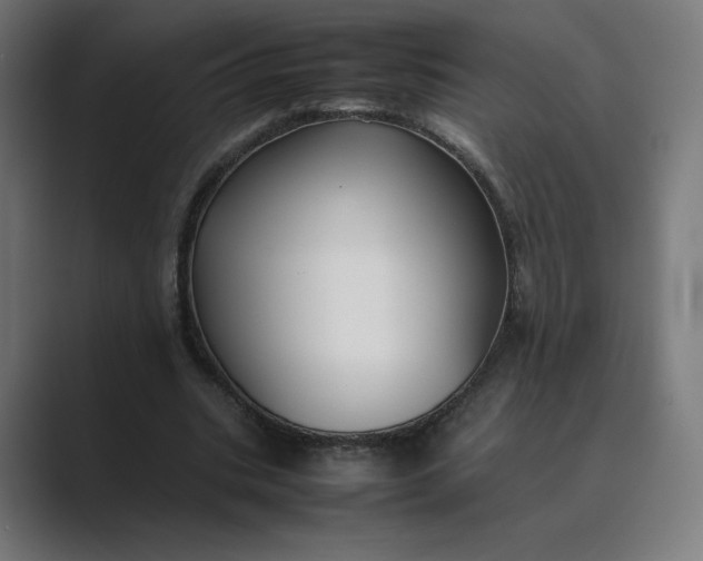 X0000089350535200706291023