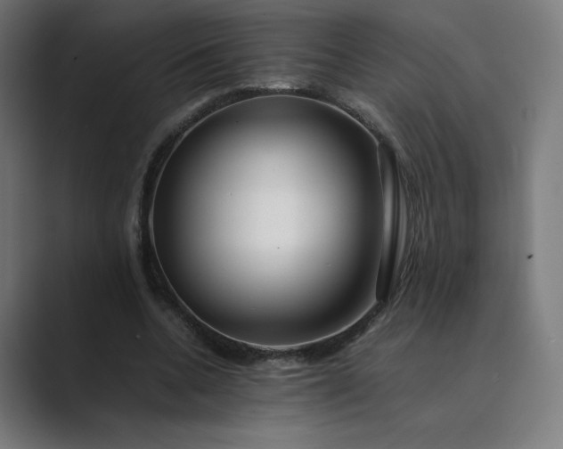 X0000089350536200706291023
