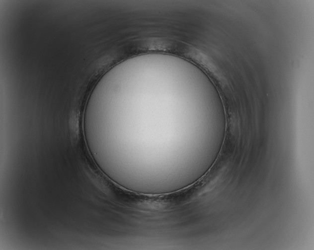 X0000089350537200706291023