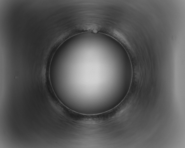 X0000089350538200706291023