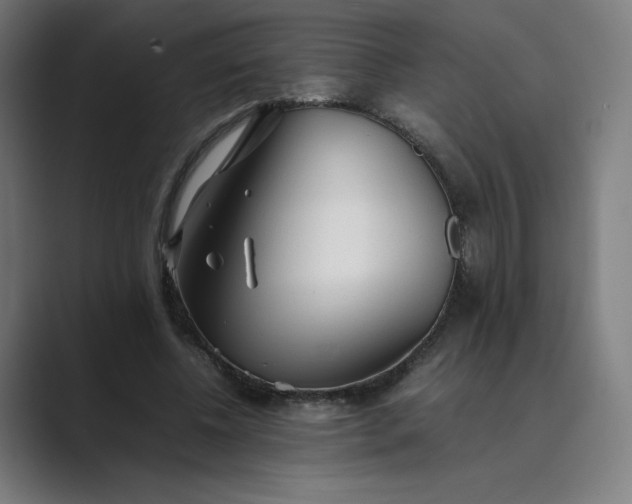 X0000089350540200706291023