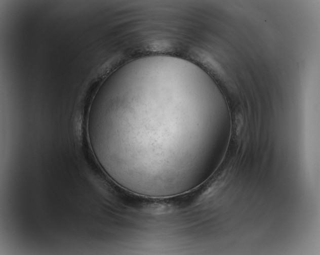 X0000089350542200706291023
