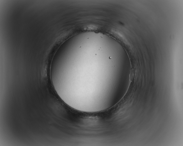 X0000089350543200706291023