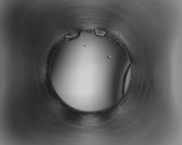X0000089350544200706291023