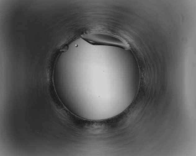 X0000089350546200706291023