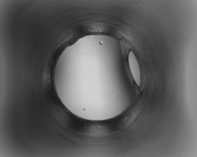 X0000089350547200706291023