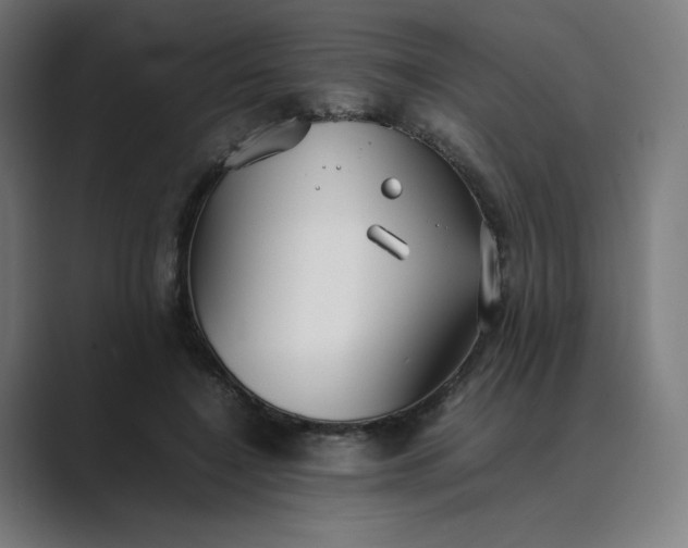 X0000089350548200706291023