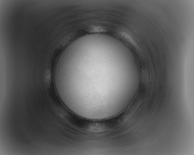 X0000089350549200706291023