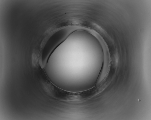 X0000089350552200706291023