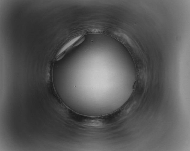 X0000089350553200706291023