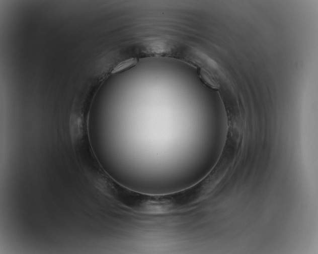 X0000089350556200706291023