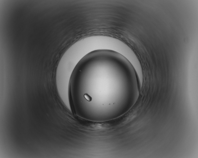 X0000089350558200706291023