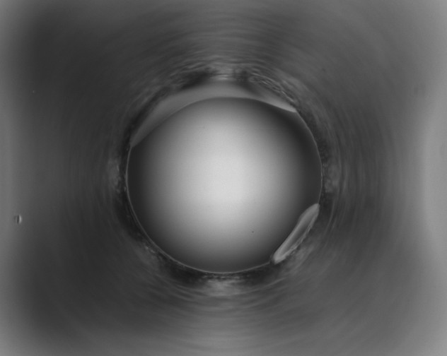 X0000089350560200706291023