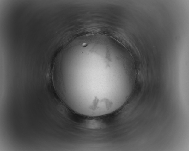 X0000089350561200706291023