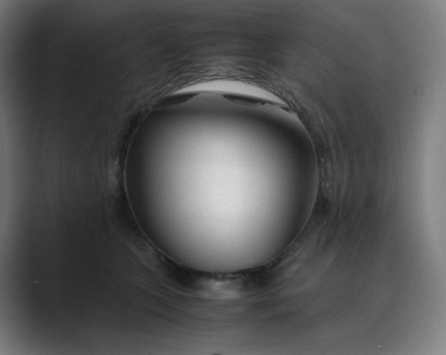 X0000089350563200706291023