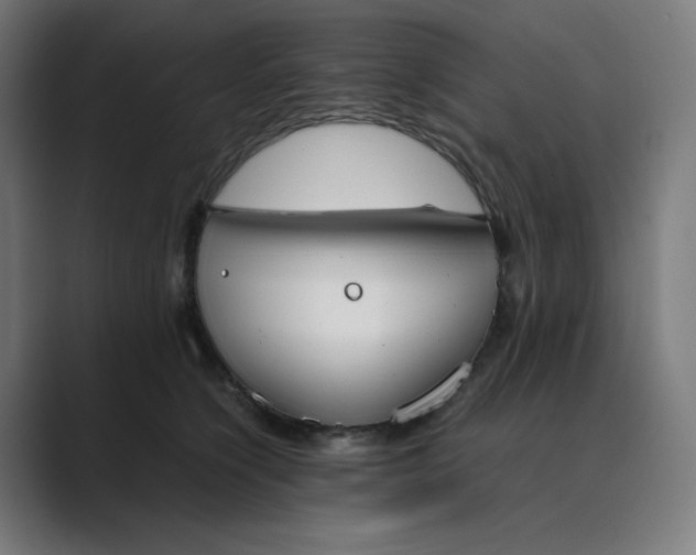 X0000089350564200706291023