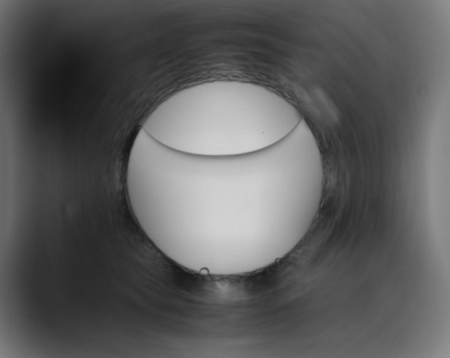 X0000089350565200706291023