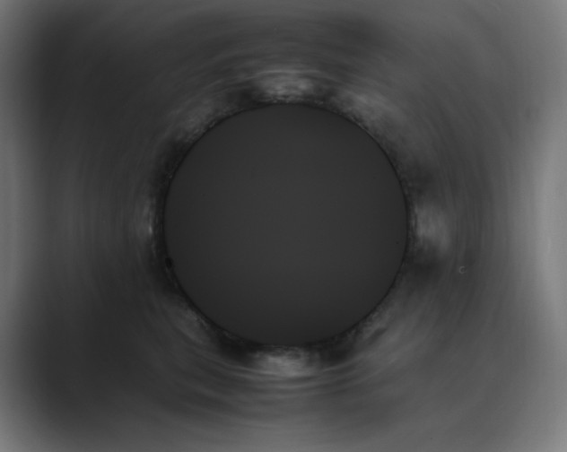 X0000089350567200706291023